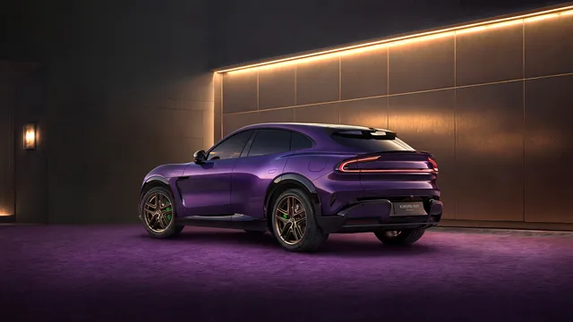 Biscuit de Mar Dark wallpaper: violet tourer