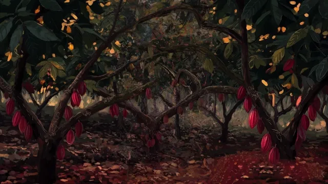 Coffee wallpaper: cacao grove