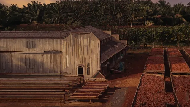 Coffee wallpaper: cacao estate