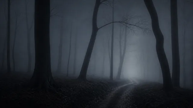 Dracula wallpaper: dracula forest bare branches