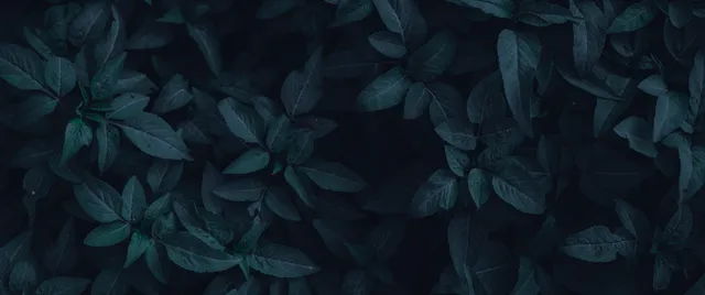 Dracula wallpaper: dracula leaves 6272a4 dark