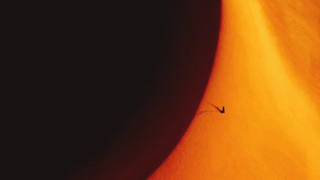 Dune wallpaper: mind killer