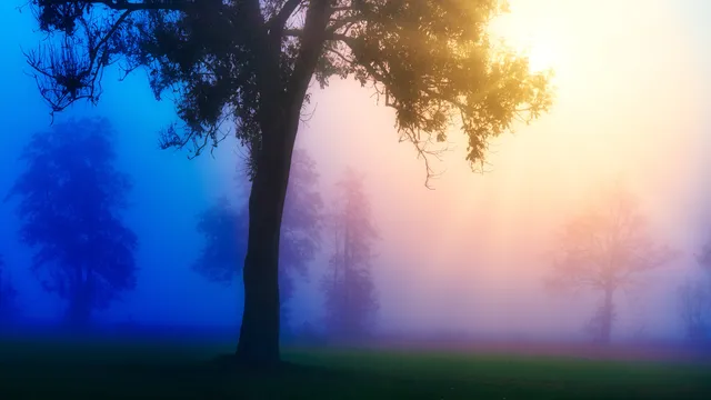Ethereal wallpaper: meadow