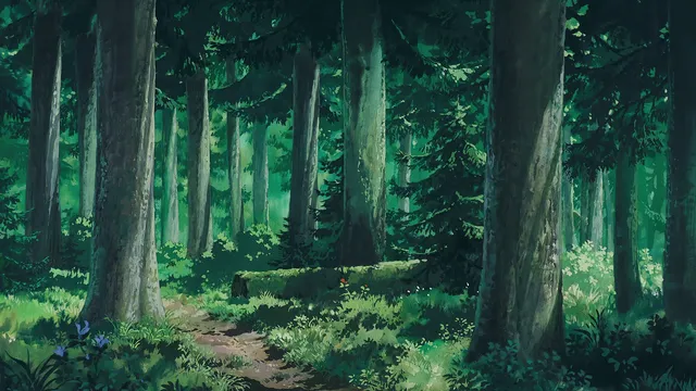 Evergreen wallpaper: deep forest