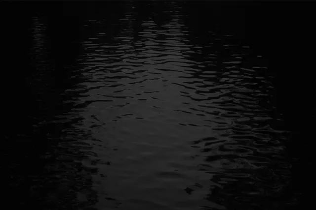 Felix wallpaper: water