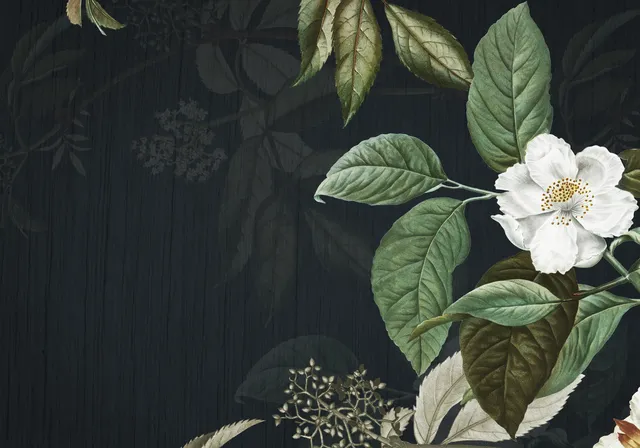 Forest Green wallpaper: FG