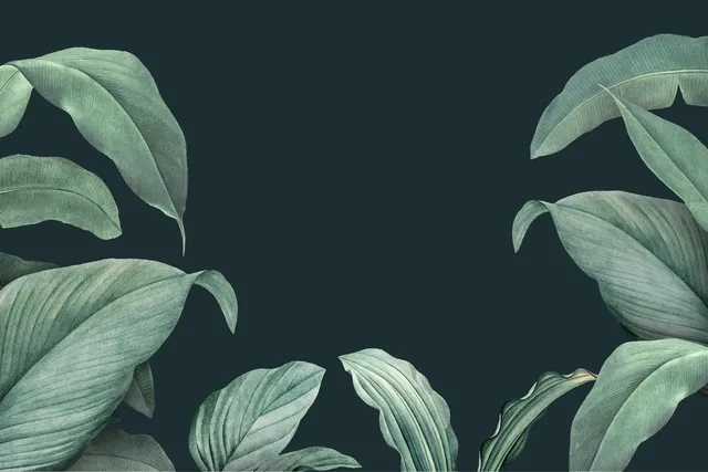 Forest Green wallpaper: FG