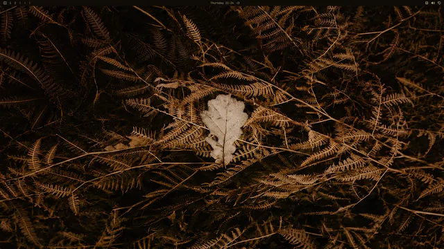 Empty desktop