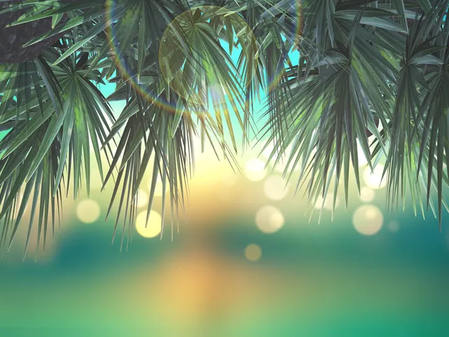 Pina wallpaper: 2