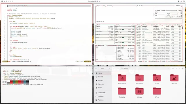 Quattro Light: Neovim, terminal, btop and Files
