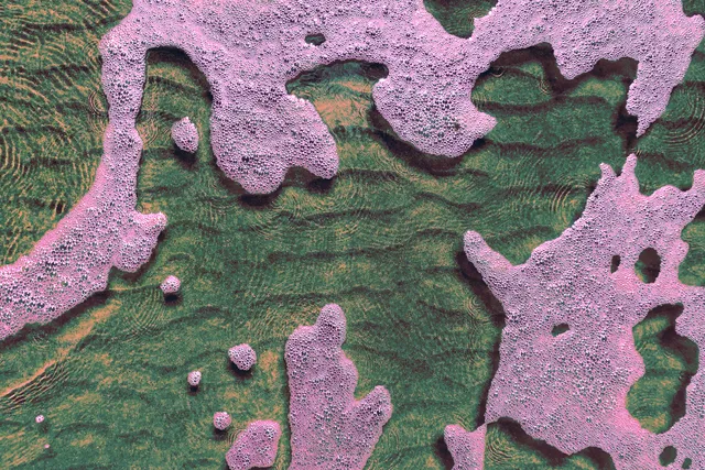 Sakura Mochi wallpaper: soapsuds foam