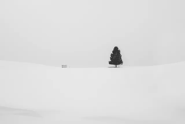 Snow wallpaper: christina gottardi unsplash