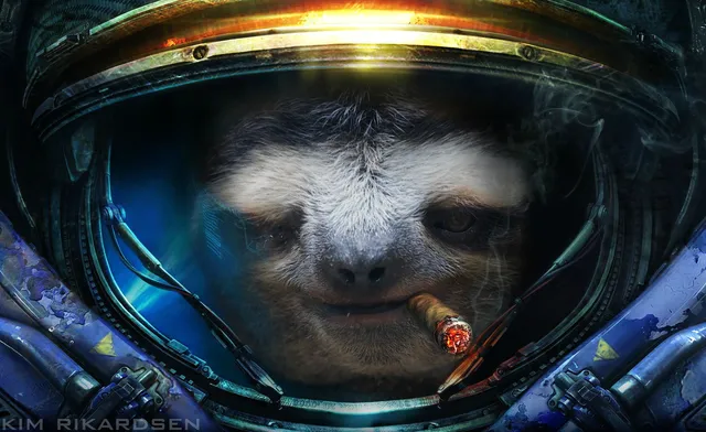 Starcraft wallpaper: raynor sloth