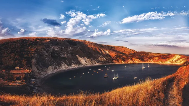 Stillwood wallpaper: lake
