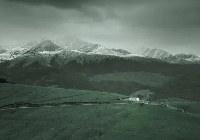 Temerald wallpaper: zongnan bao RzseynOSpo unsplash
