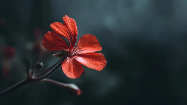 Tranquility wallpaper: 4