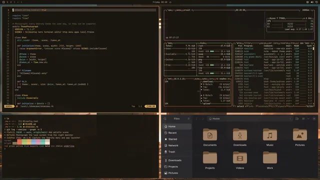 Vault: Neovim, terminal, btop and Files