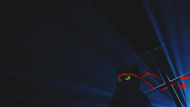 Windows Dark Mode wallpaper: midnight ninja cat